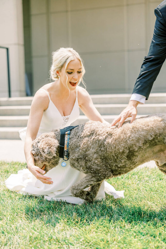 surprise with her dog on wedding day reaction