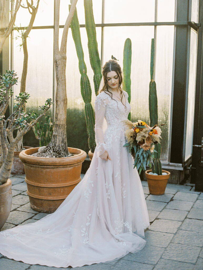 241129 emma and jordan edited film 4