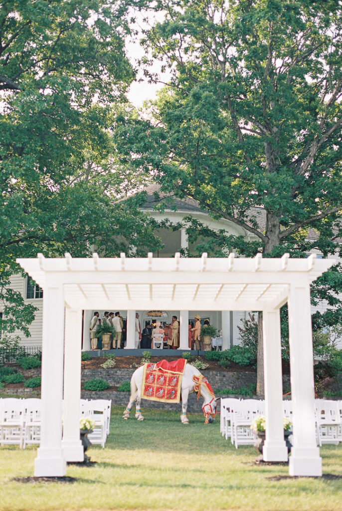 Indian wedding baraat horse decorated with gold and red at Waldenwoods resort Michigan